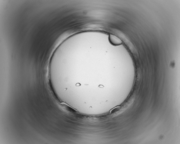 X0000103151370200809192019