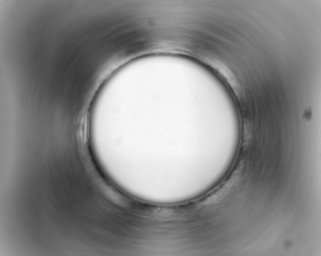 X0000103151371200809192019