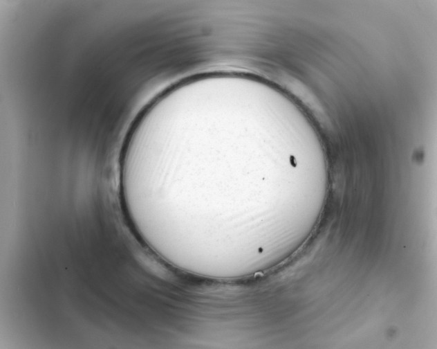 X0000103151372200809192019