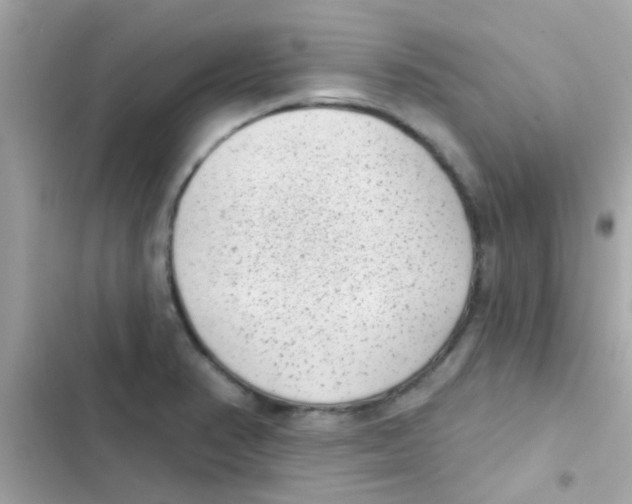 X0000103151374200809192019