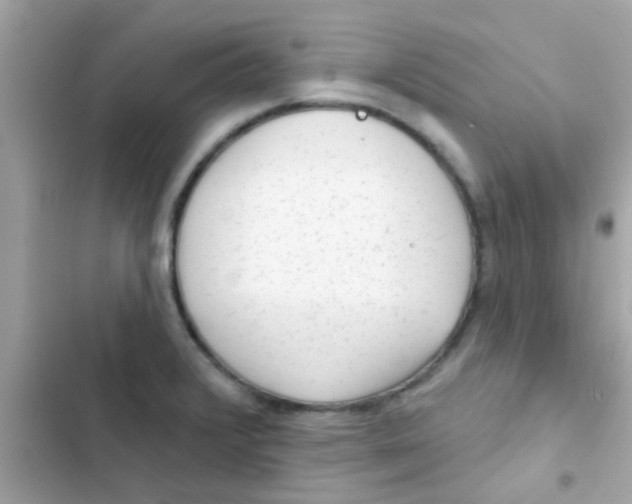 X0000103151376200809192019