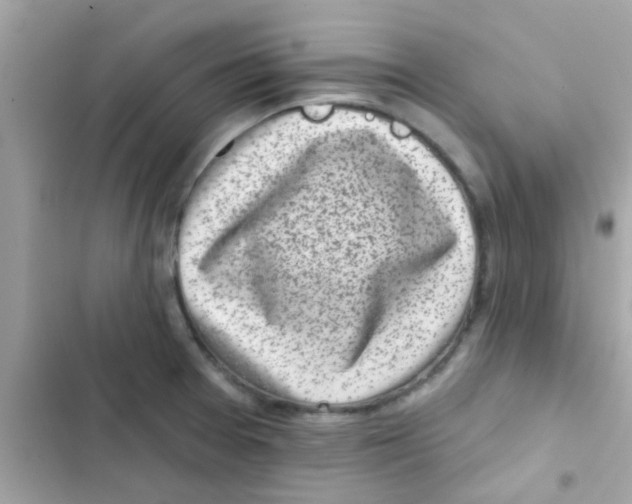 X0000103151377200809192019