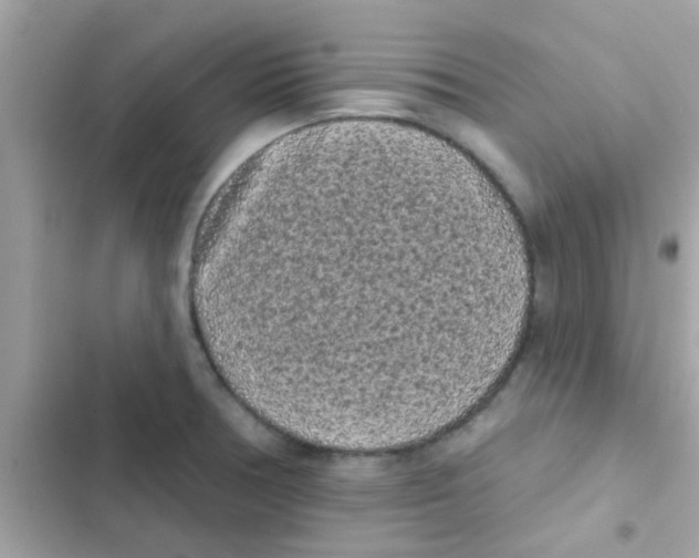 X0000103151378200809192019