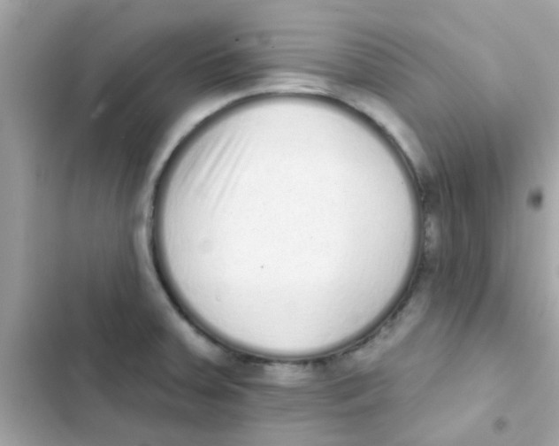 X0000103151379200809192019