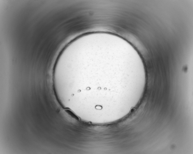 X0000103151380200809192019