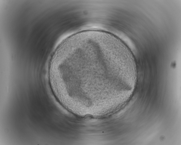 X0000103151382200809192019