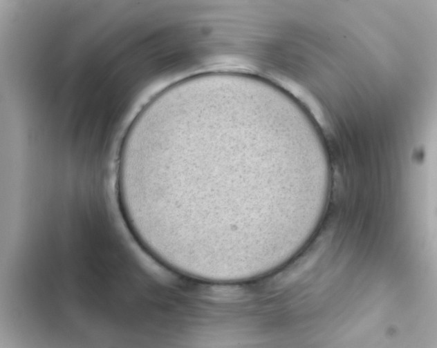 X0000103151383200809192019