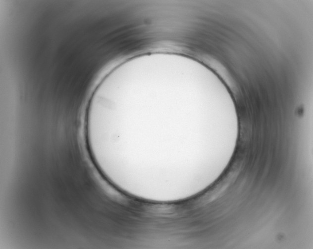 X0000103151387200809192019