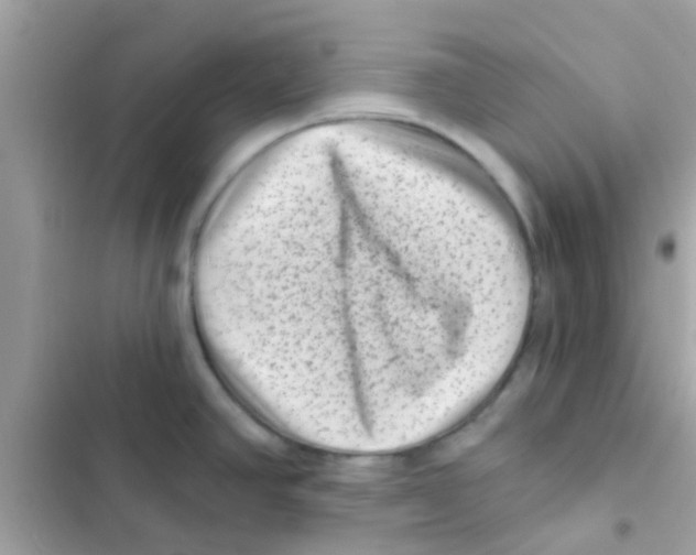 X0000103151390200809192018