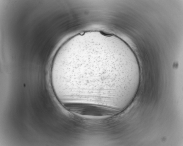 X0000103151392200809192018