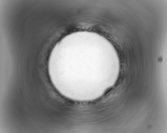 X0000103151393200809192018