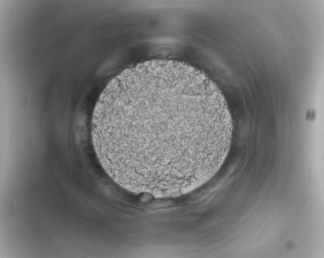 X0000103151394200809192018