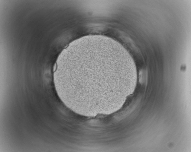 X0000103151395200809192018