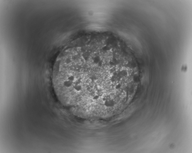 X0000103151397200809192018