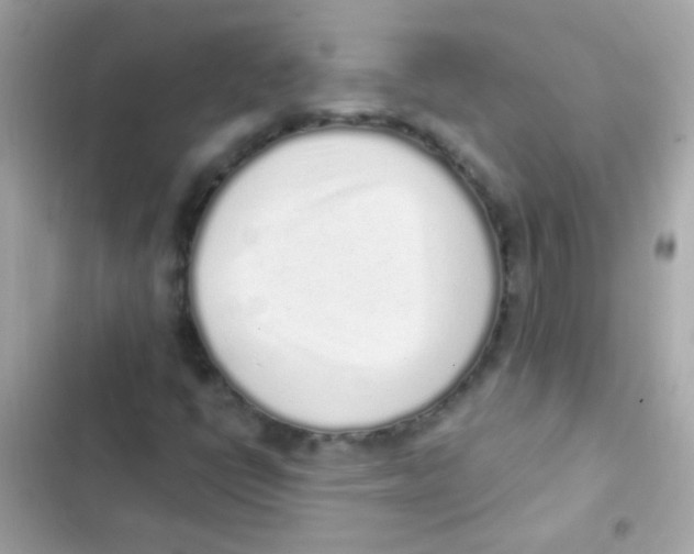 X0000103151398200809192018