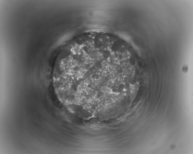 X0000103151399200809192018