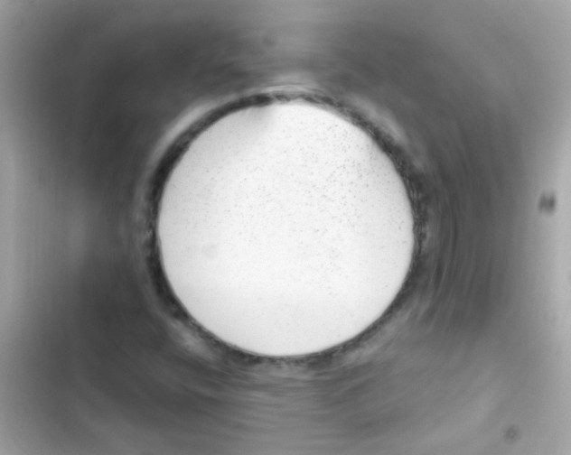 X0000103151400200809192018