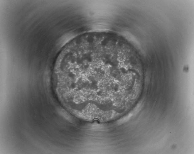 X0000103151401200809192018