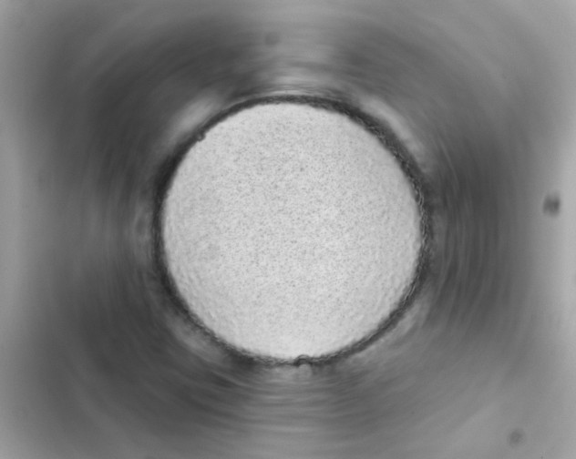 X0000103151403200809192018