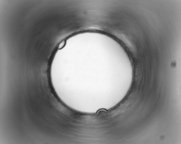 X0000103151404200809192018