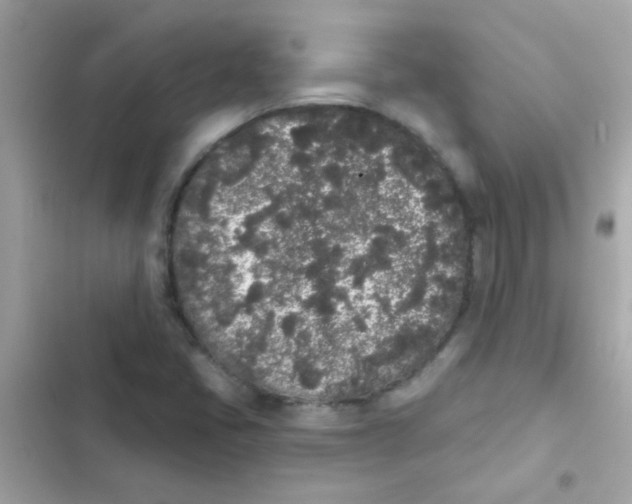 X0000103151405200809192018