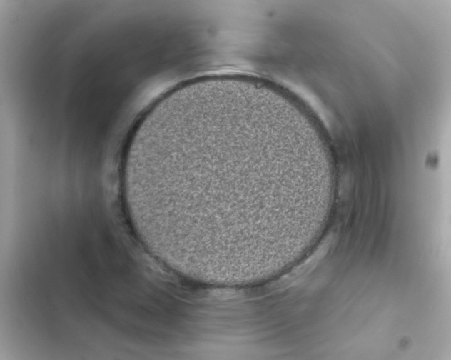 X0000103151407200809192018