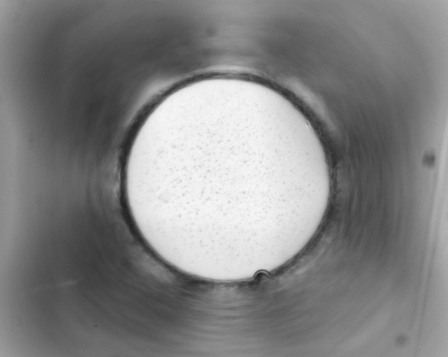 X0000103151408200809192018