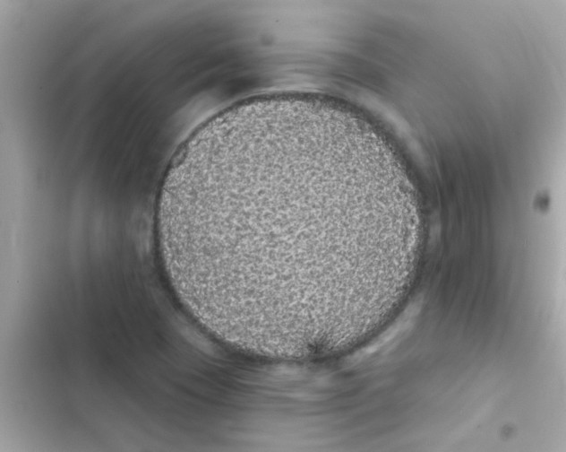 X0000103151409200809192018