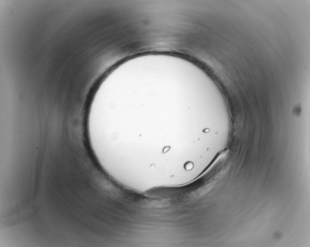 X0000103151410200809192018