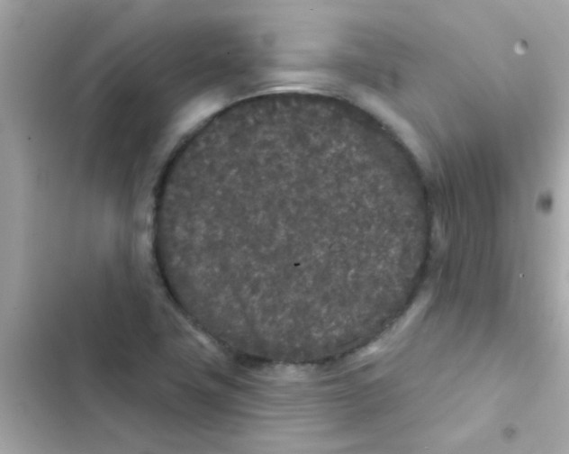 X0000103151411200809192018