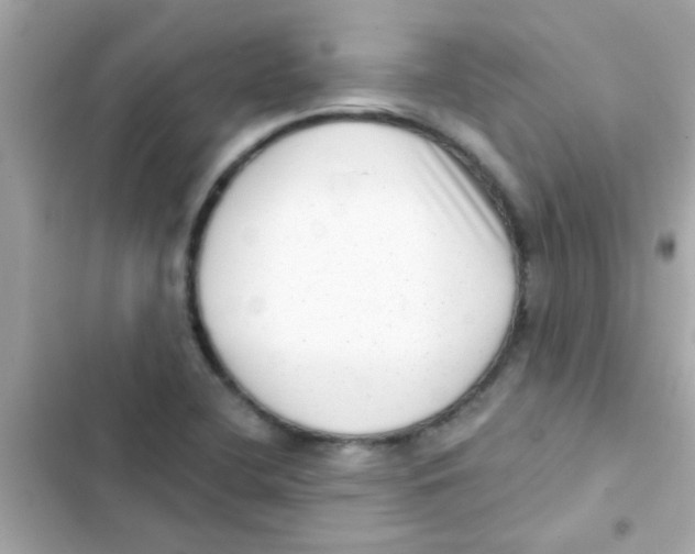 X0000103151412200809192018