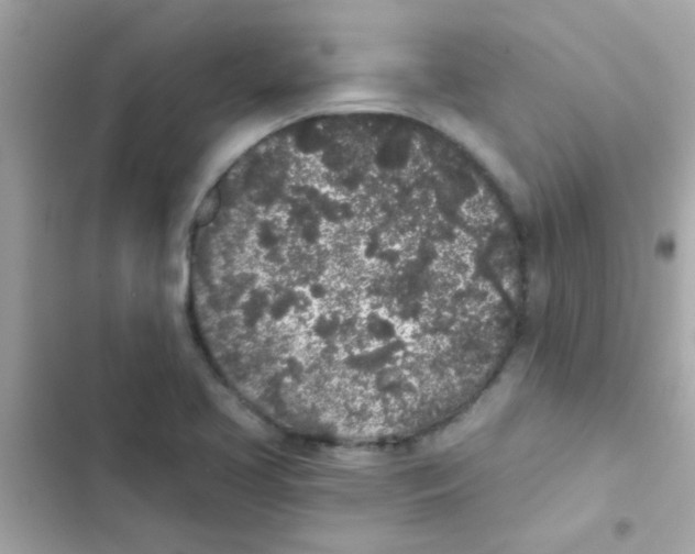 X0000103151413200809192018