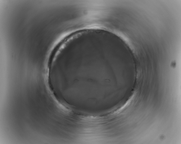 X0000103151414200809192018