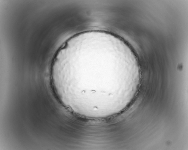 X0000103151415200809192018