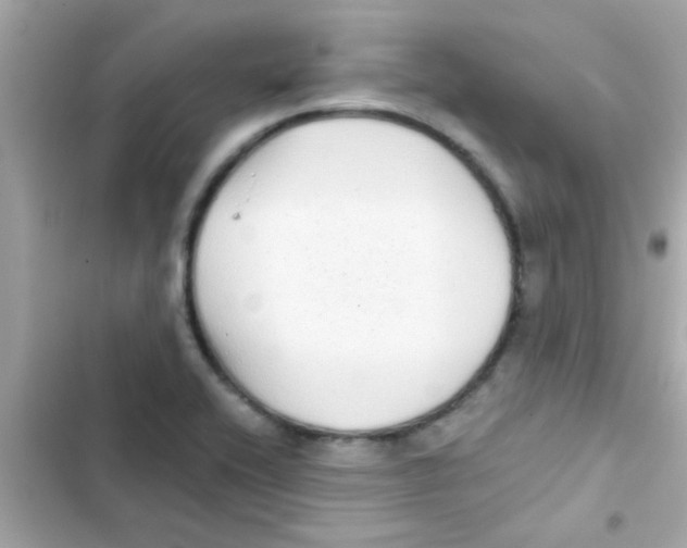 X0000103151416200809192018