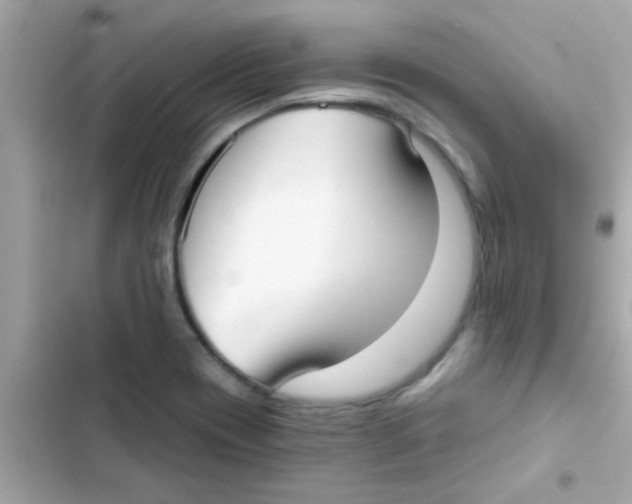 X0000103151417200809192018