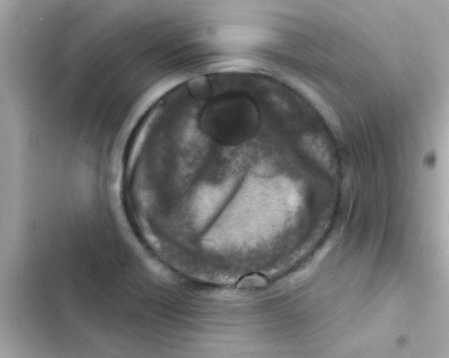 X0000103151418200809192018