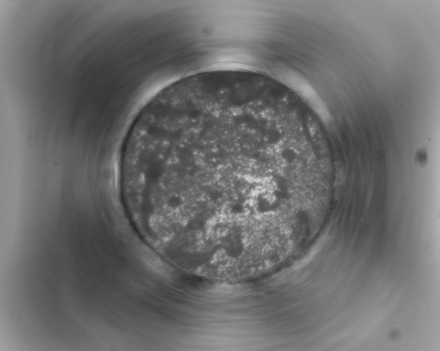 X0000103151419200809192018