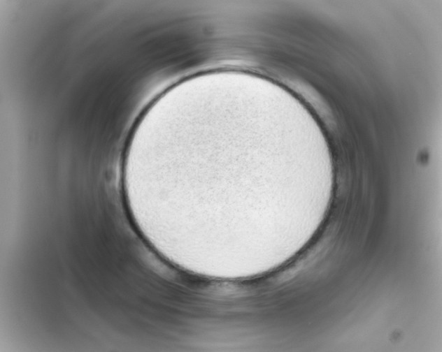 X0000103151420200809192018