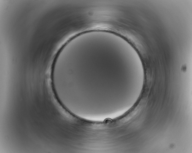 X0000103151422200809192018