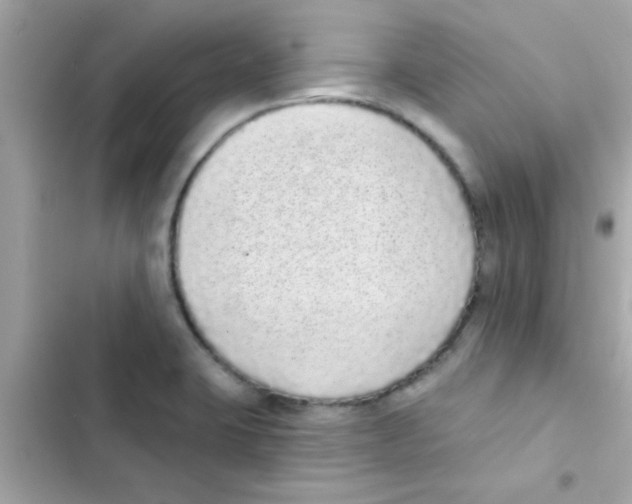 X0000103151423200809192018