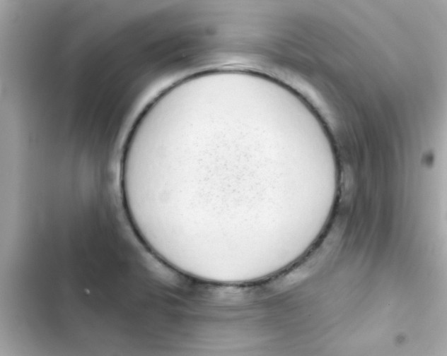 X0000103151424200809192018