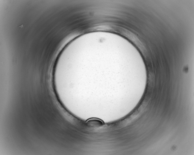 X0000103151426200809192018