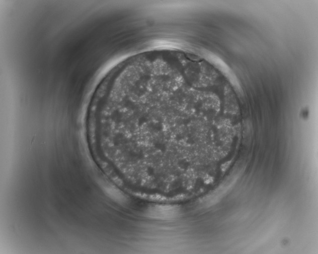 X0000103151427200809192018