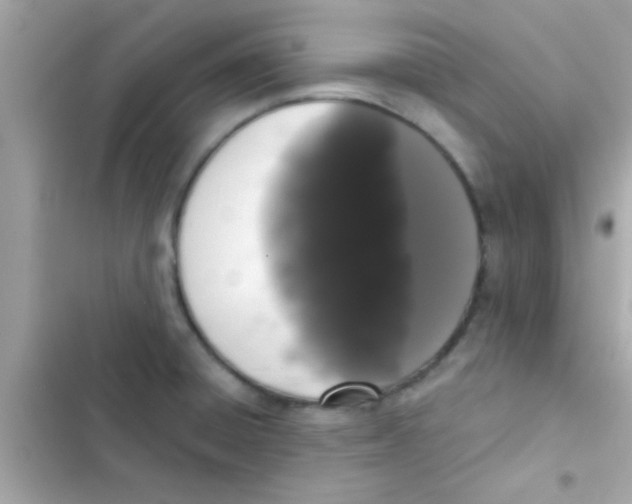 X0000103151428200809192018