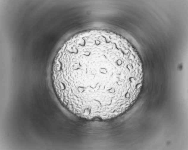 X0000103151429200809192018