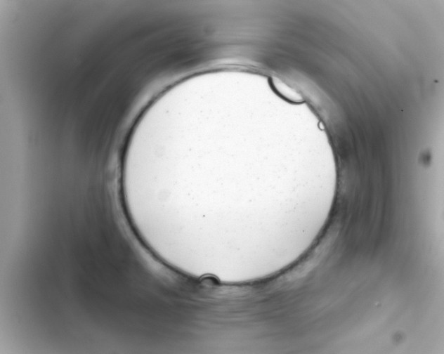 X0000103151430200809192018