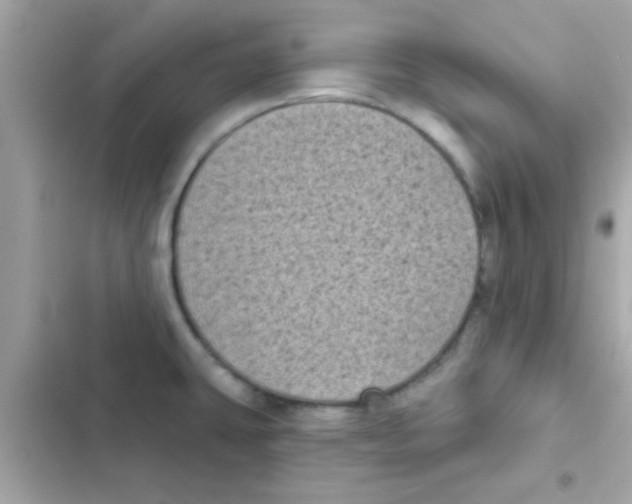 X0000103151431200809192018