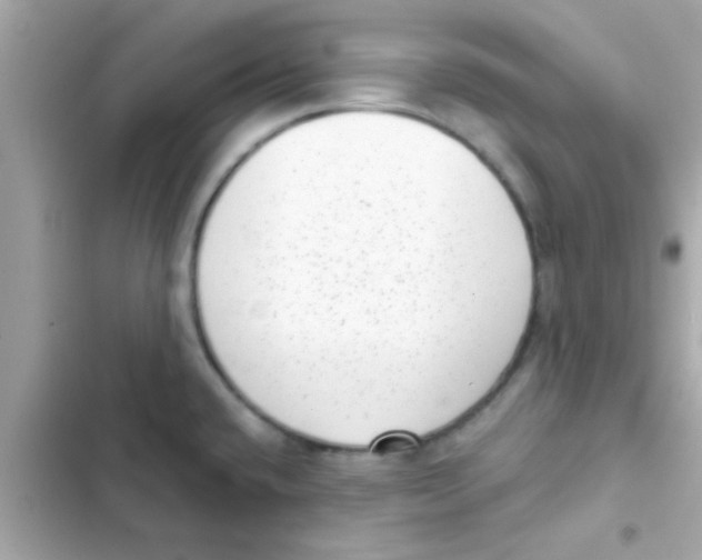 X0000103151432200809192018