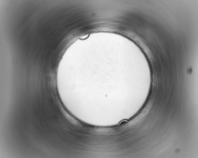 X0000103151433200809192018